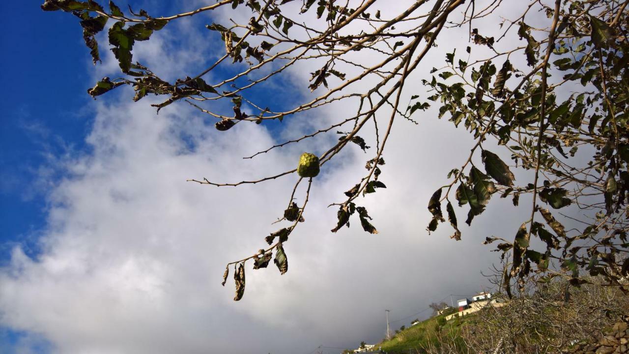 Fajã da Ovelha Casal Sao Joao Cottages 106 מראה חיצוני תמונה